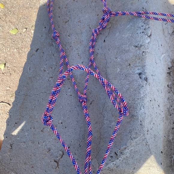 Horse/livestock halters, dog leashes- collars, headstall,and more. .. - Picture 6 of 12